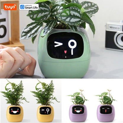 Tuya Ivy Smart Planter – The Future of Plant Care 🌱✨