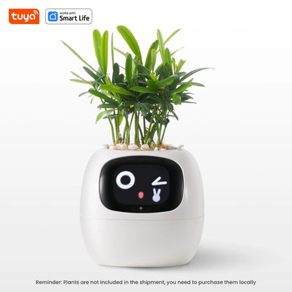 Tuya Ivy Smart Planter – The Future of Plant Care 🌱✨