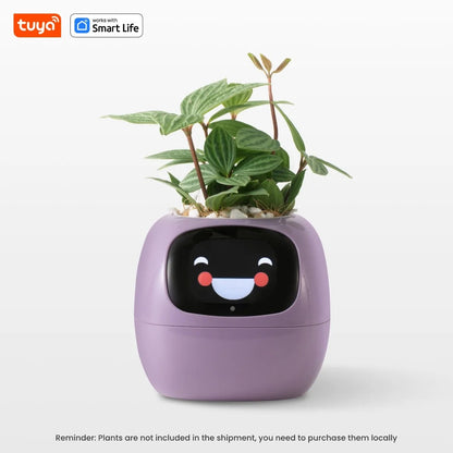 Tuya Ivy Smart Planter – The Future of Plant Care 🌱✨