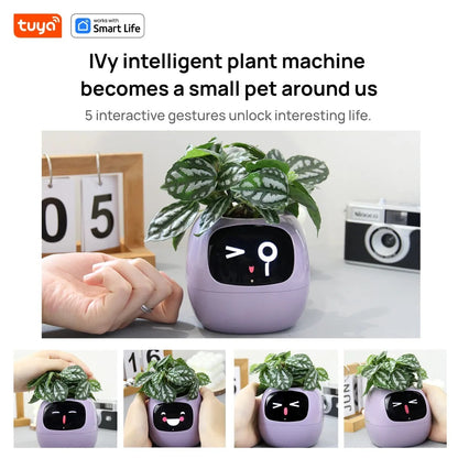 Tuya Ivy Smart Planter – The Future of Plant Care 🌱✨