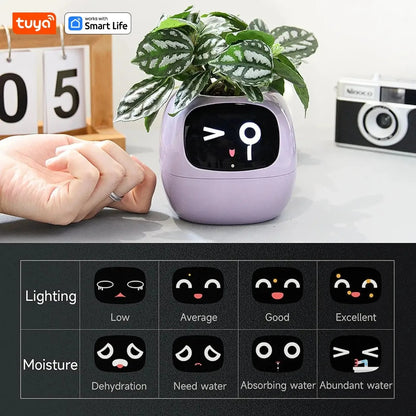 Tuya Ivy Smart Planter – The Future of Plant Care 🌱✨