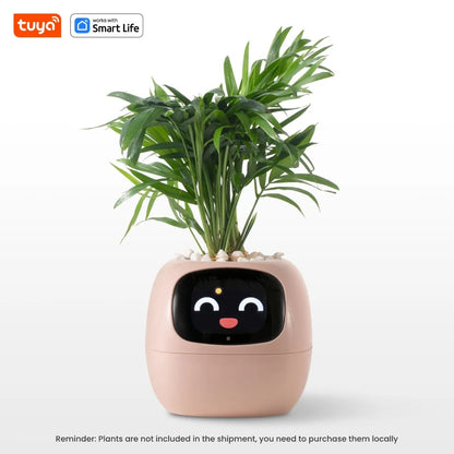 Tuya Ivy Smart Planter – The Future of Plant Care 🌱✨