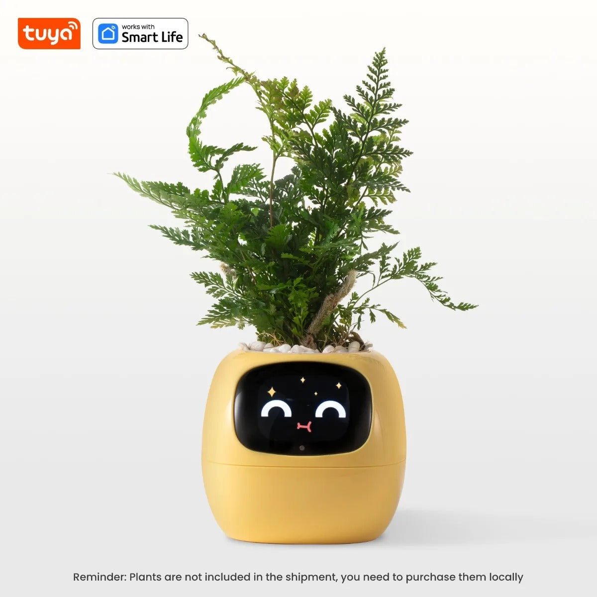 Tuya Ivy Smart Planter – The Future of Plant Care 🌱✨