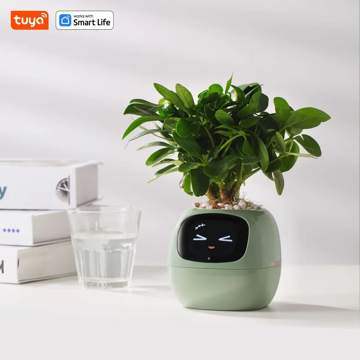 Tuya Ivy Smart Planter – The Future of Plant Care 🌱✨